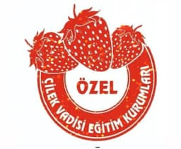 Alanyurt Çilek Vadisi Anaokulu - Fotoğraf