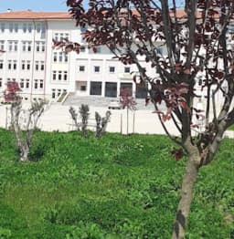 Şehit Ömür Ertuğrul Sarı Anadolu Lisesi - Fotoğraf