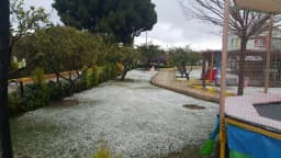 Delfin Anaokulu - Fotoğraf