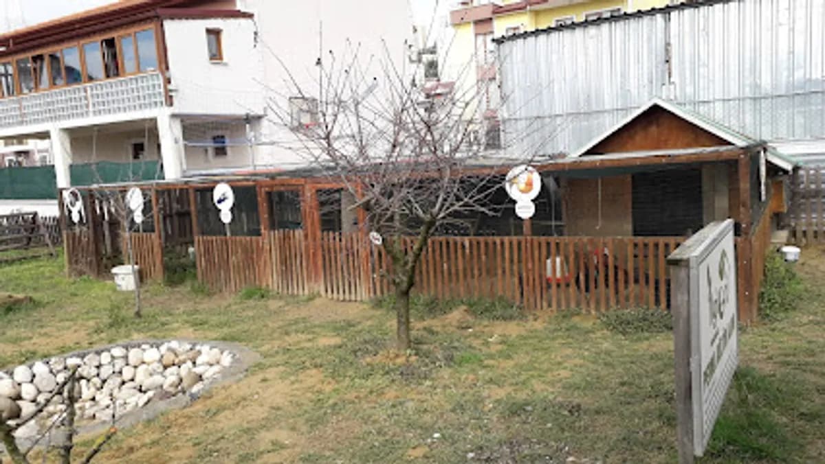 Gelecek Adası Anaokulu Koleji - Fotoğraf