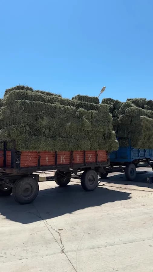 Bulduklu İlkokulu - Photo