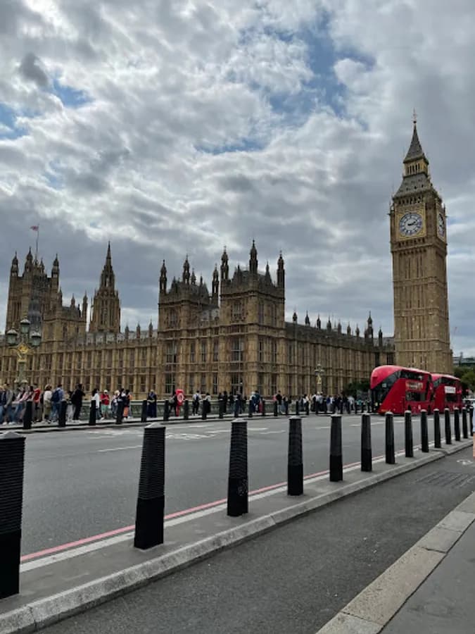 Wingobee Education - Fotoğraf