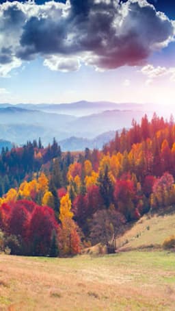 Hasanoğlan Öğretmenler İlkokulu - Photo