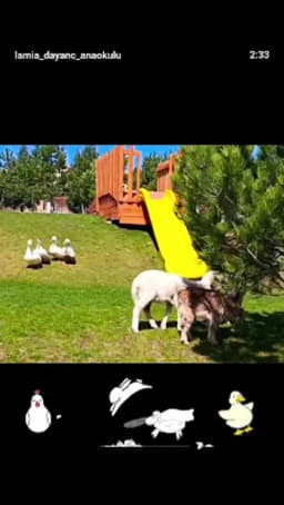 Lamia Dayanç Anaokulu - Fotoğraf