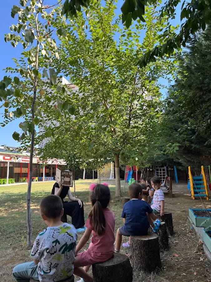 Özel Bilgi Sarmalı Anaokulu