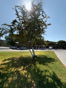 80. Yıl Poyracık İlköğretim Okulu - Fotoğraf