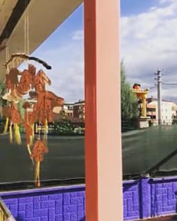 Mini Koza Kreş - Fotoğraf