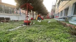 Nino Nitelikli İlkeli Nesiller Anaokulu - Photo