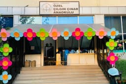 Özel Çılgın Çınar Anaokulu - Fotoğraf