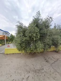 Kadir Sevil Aydar Anaokulu - Photo