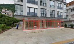 Turuncu Kreş - Fotoğraf