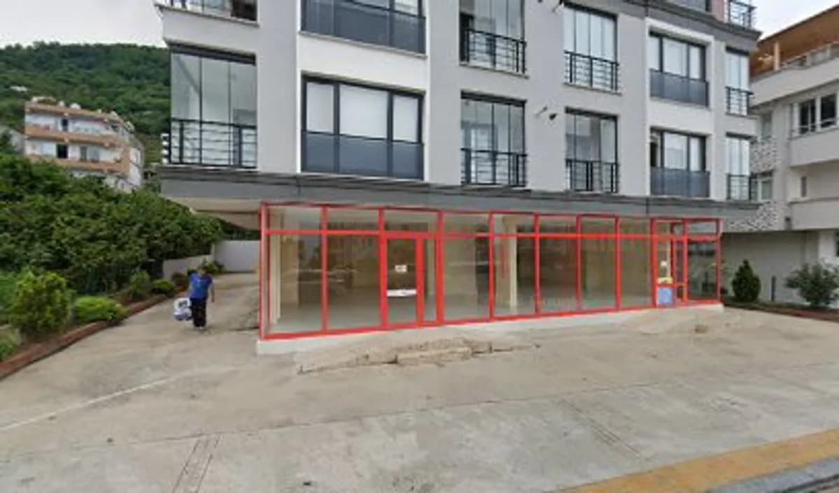 Turuncu Kreş - Fotoğraf