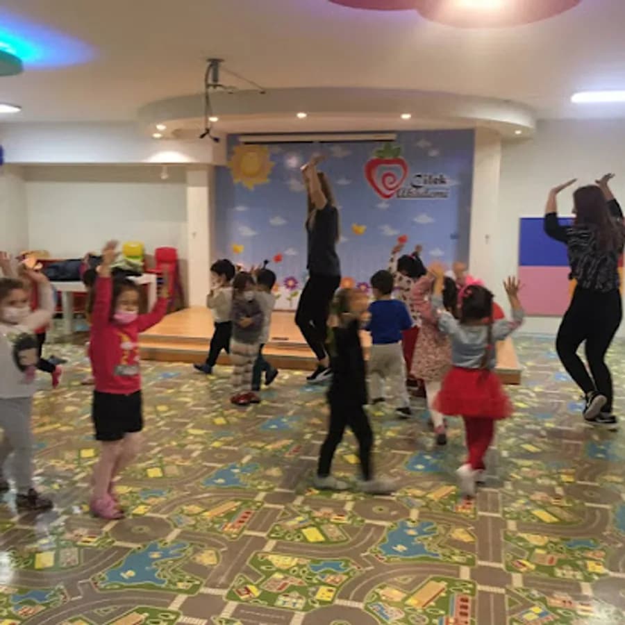 Lüleburgaz Çilek Akademi Anaokulu - Fotoğraf