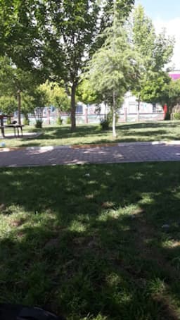 Nar Çiçeği Anaokulu - Fotoğraf