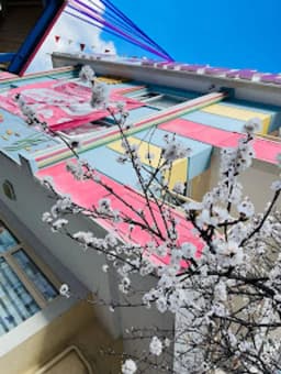 Özel Fil Anaokulu Öveçler Kampüsü - Fotoğraf