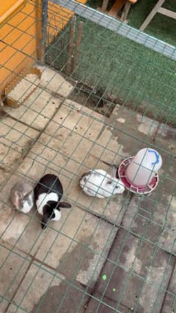 Özel Bilgi Bahçem Anaokulu - Fotoğraf