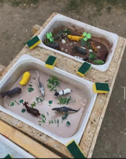 Ecem Songür Anaokulu & Kreş - Fotoğraf