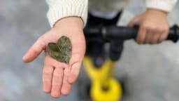 Doğa Ladin Anaokulu - Fotoğraf