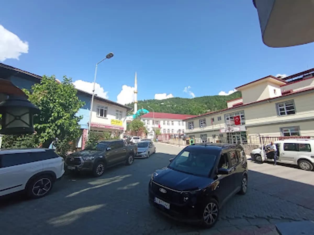 Artvin-şavşat Çiçek Nene Anaokulu - Fotoğraf