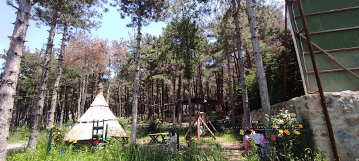 Minik Yıldızlar Orman Anaokulu - Fotoğraf