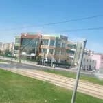 Birey Eğitim Kurumları