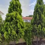 Avni Özpolat Anaokulu