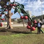 Özel Akdeniz Yıldızları Anaokulu