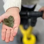 Doğa Ladin Anaokulu