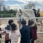 Altın Çocuk Akademi Anaokulu