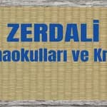 Ayyıldız Zerdali Anaokulu