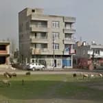 Şehit Çavuş Haydar Arda Erertingi Ortaokulu