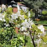 Özel İlk Gelişim Anaokulu