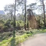 Gülçin Ersoy Anaokulu