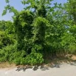 Şehit Yaşar Atay Anaokulu