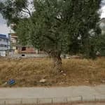 Özel Dünya Anaokulu