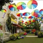 Kadıköy Özel Yeşilköşk Anaokulu & 3 Yaş Anaokulu