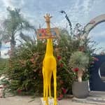 Küçük Hayaller Anaokulu