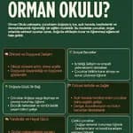 Antalya Deniz ve Orman Anaokulu