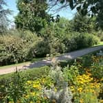 Düzce İnci Yıldız Anaokulu