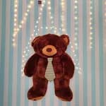 Özel Lotus Anaokulu