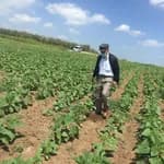 Gümüşdere İlkokulu