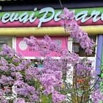 İncirli Sevgi Pınarı Anaokulu - İncirli Özel Kreş