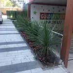 Gulderenler Anaokulu