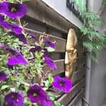 Cogito Anaokulu Kreş Gayrettepe