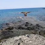 Kemer Özel Ayışığı Anaokulu