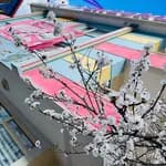 Özel Fil Anaokulu Öveçler Kampüsü