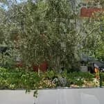 Özel Luna Kreş ve Gündüz Bakımevi