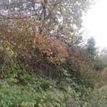 Yenimahalle Anaokulu