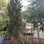 Ovacık Şehit Emrah Pekdogan Anaokulu (kamu)