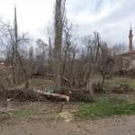 Şehit Ali Kantemir İlköğretim Okulu